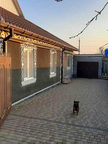 Продам будинок  з великою ділянкою землі в центрі  м. Березівка.