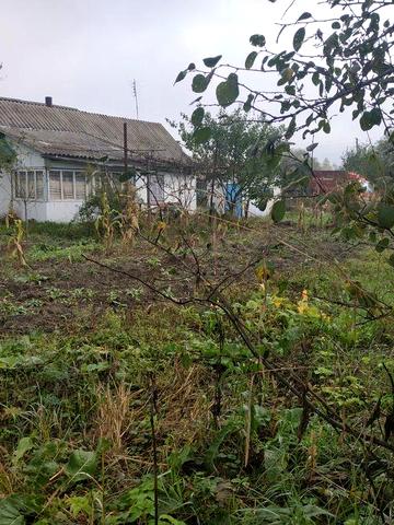 Продається будинок в селі Березівка.