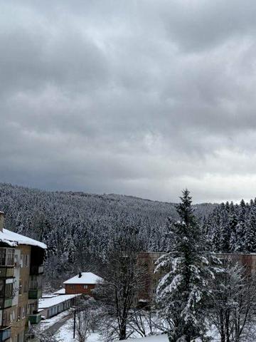 Продаж/1 кім квартира / Сколе