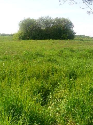 Продам будинок із земельною ділянкою площею один гектар.