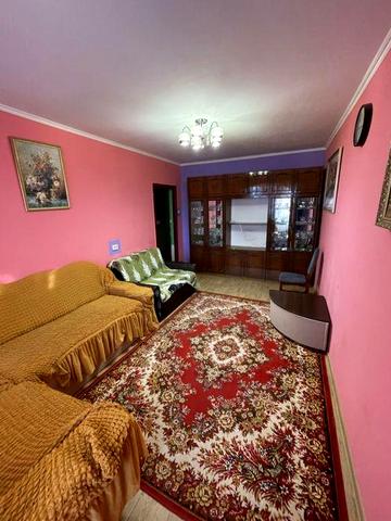 Можно с котом.Пухова