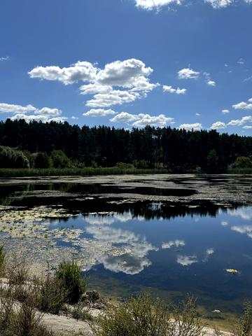 Поляна Лісова, 9