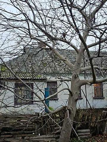 Частина будинку з комунікаціями, є газ світло вода