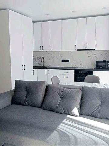 Оренда  в новобудові в Соснівці