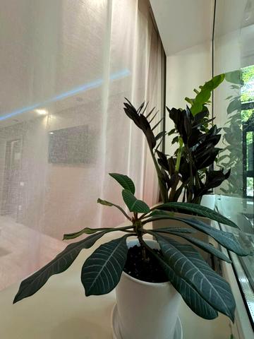 Героїв Крут вул. (Фурманова), 3