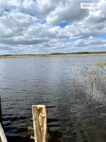 Продаж 3к Дім Берегова