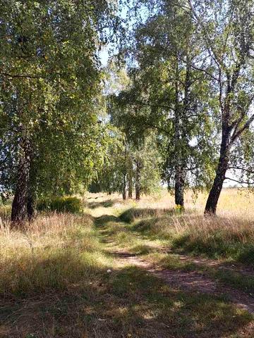 Павла Тичини, 7