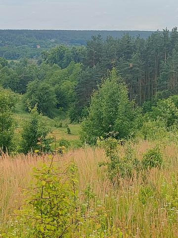 Путрівка, Фастівський, Київська область 21000 USD