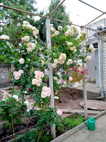 Будинок в центрі Херсона