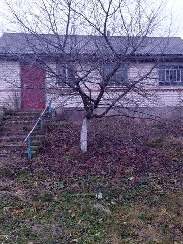 Продам будинок с. Смолява