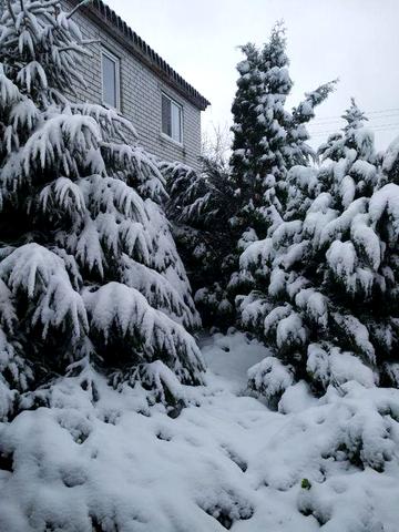 Продам будинок,дніпропетровська обл,новомосковський район,м.Перещепине