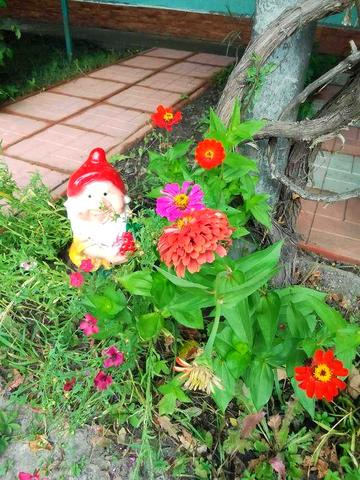 Продаю дачу біля села Загальці