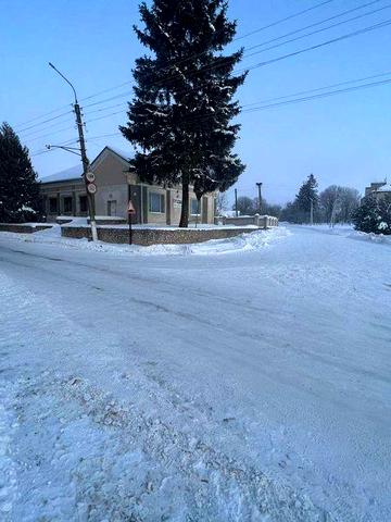 Житловий будинок із зоною під бізнес