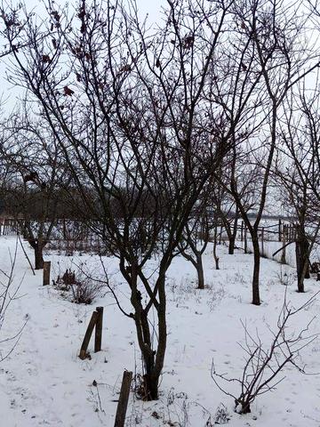 Продається будинок