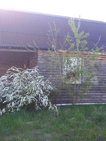 Будинок на розбір!