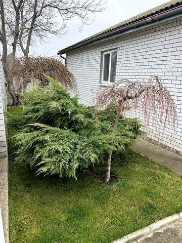 Продам будинок с. Яворницьке 160 кв.м