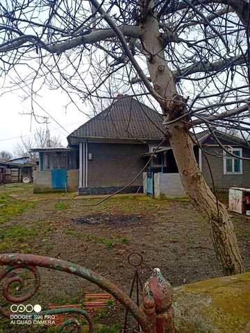 Домогосподарство