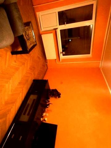 1-й поверх, 2-кімнатна квартира на "Піщаній". Перша здача в оренду!