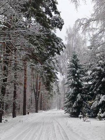 Оренда будинку в Броварах (Перемога)