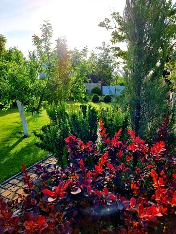 Продам дачу рядом с Хортицким районом