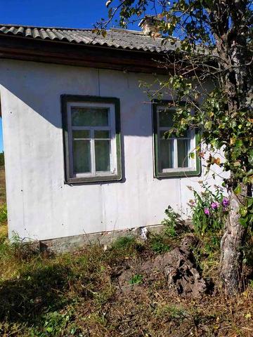 Продам будинок в с. Карпилівка Чернігівська обл. з газовим опаленням