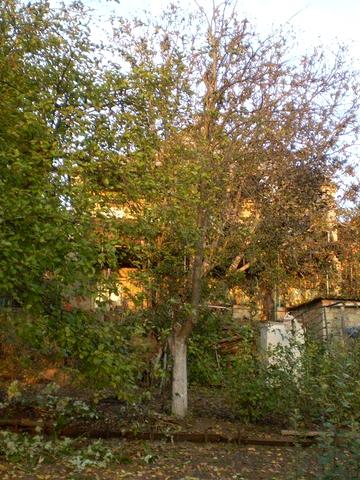 Продажа будинку від власника