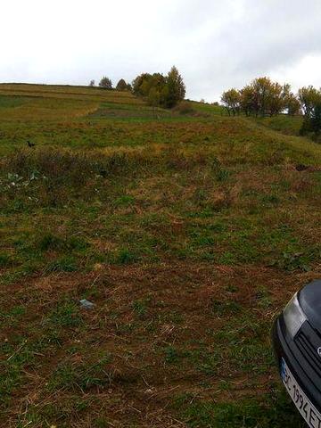 ПРОДАМ будинок у  Карпатах.