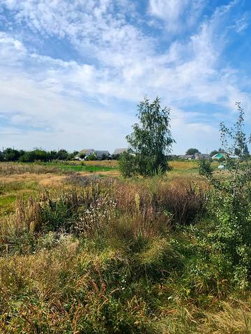 Захисників України