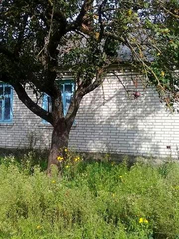 Продам приватний приватизований будинок