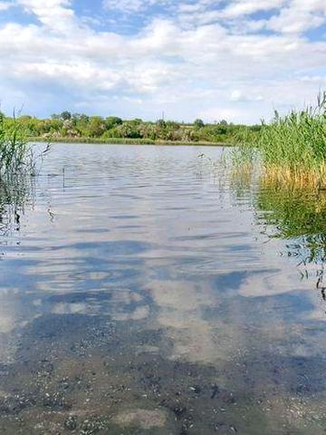 Дачный участок, в безопасном районе, у воды