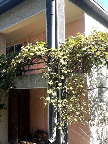 Здам будинок з зручностями 5 кім і Бомбосховищем