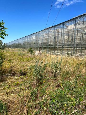 Центральна вул., 1