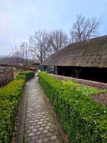 Оренда будинку с.Великі Дмитровичі