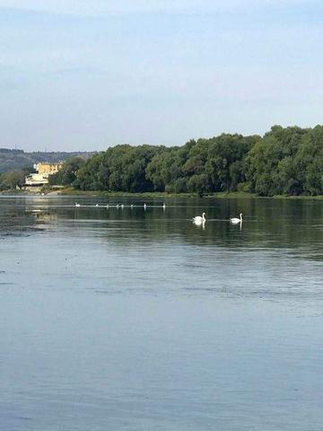 Будинок в Молдові через ріку від міста Могилів-Подільський