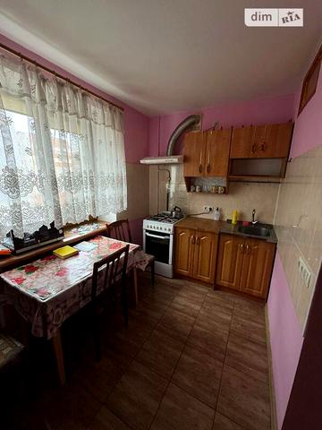 Довгострокова оренда 1к Квартира Ріхтера Святослава вулиця