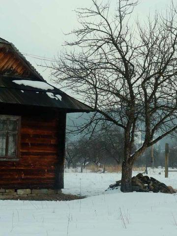 Продам будинок в Карпатах з гектаром землі