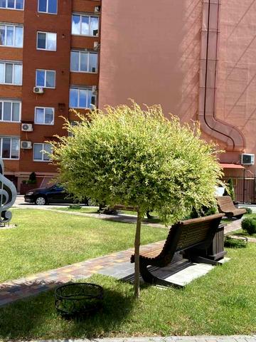 Шевченка бульв., 150/3