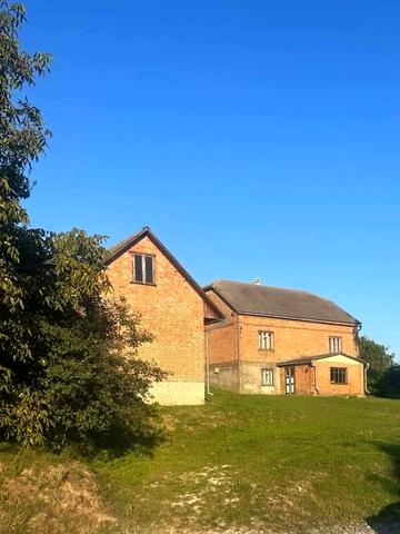 Кривоноса, 18