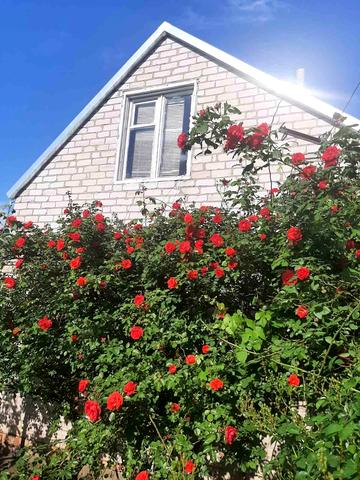 Розумівка, Запорізький, Запорізька область 5000 USD