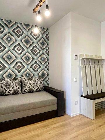 Оренда 1-кімнатної з кухнею-студією. Газове опалення