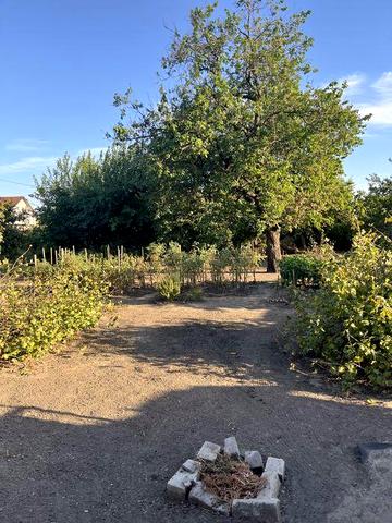 Здам 1/2 будинку