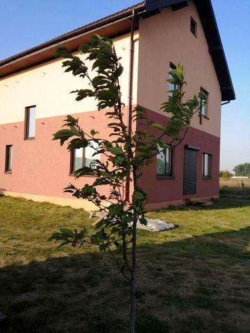 Заміський будинок/дача.