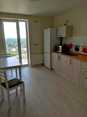 Оренда 1-к, Голосіївський район, метро Деміївська, пров. Лисогірський