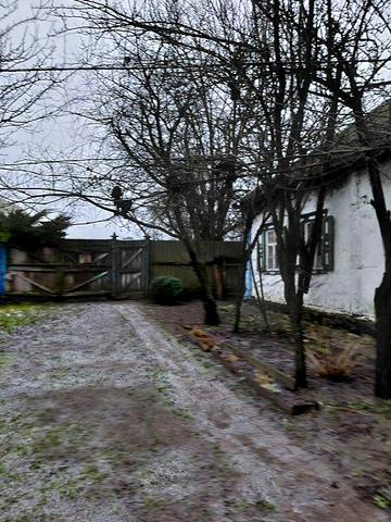 Будинок в аренду