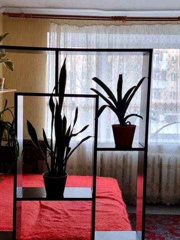 Здам 2 кімнатну квартиру район проспект Космонавтів довгостроково