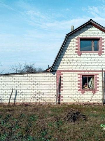 Продам участок с постройкой в пгт Репки