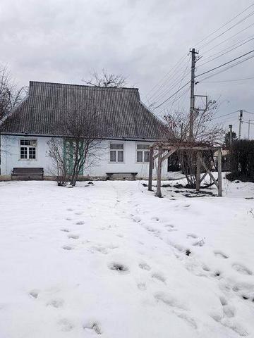 Здам в оренду будинок