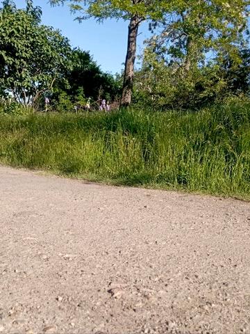 Світле, Одеський, Одеська область 10000 USD