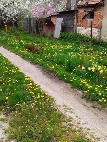 Довгострокова оренда 3к Дім Ракоці Ференца вулиця