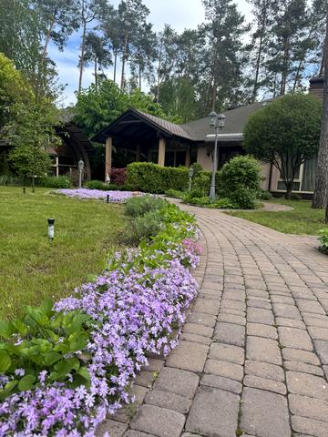 Плютовська вул.